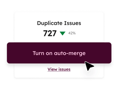 Data Hub - Auto Merge