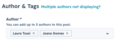 Multiple authors in blog